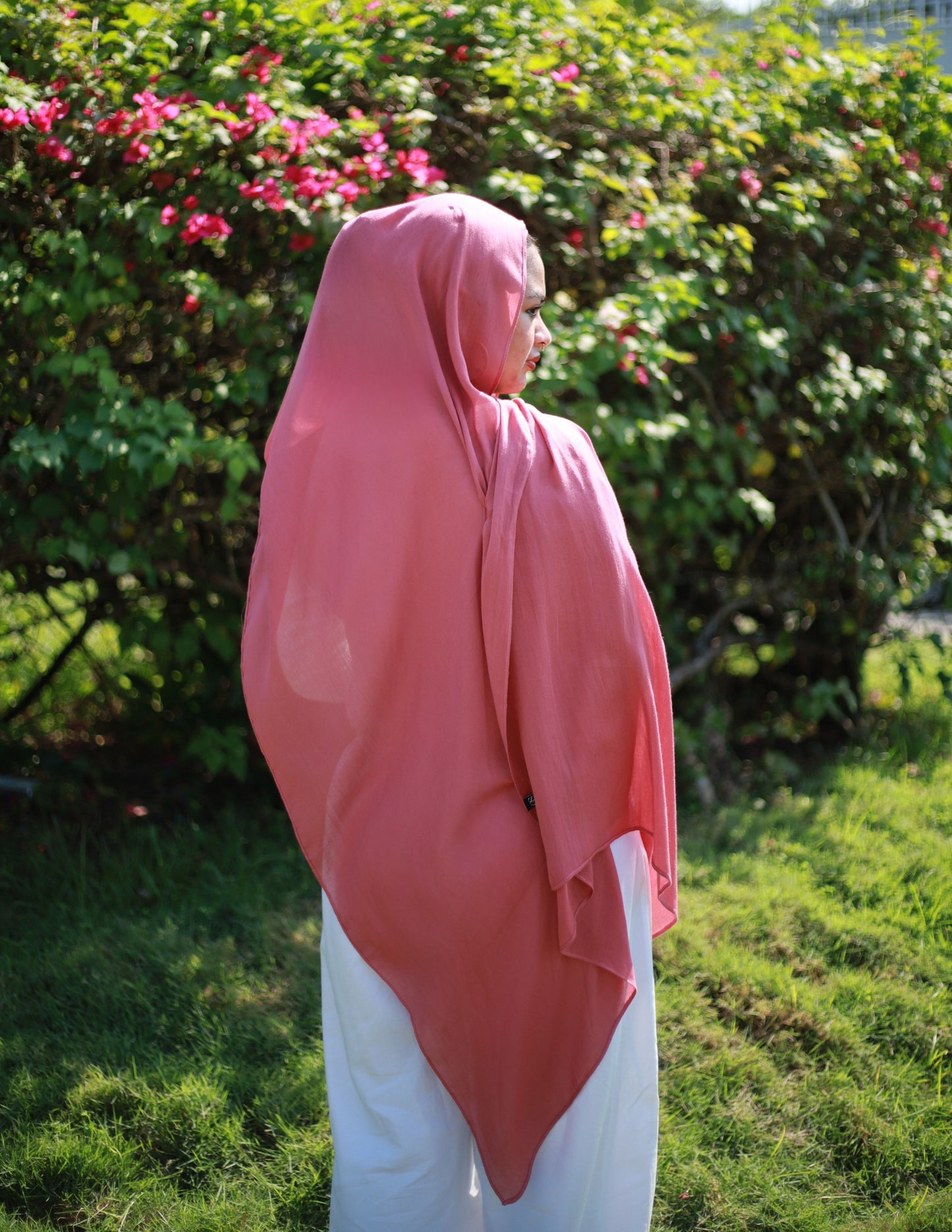 Watermelon Warmth Modal